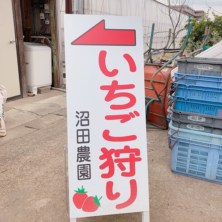 いちごがお尻まで赤く本当に美味しいく 草加いちご沼田農園 ツクツク グルメ 投稿型グルメデーターベース