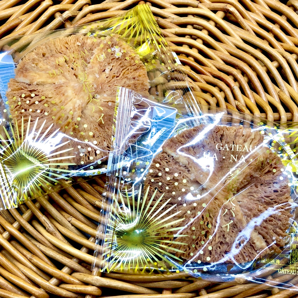 ガトウ専科 見附工房店