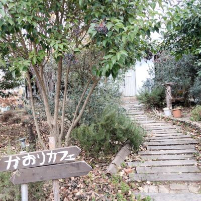 クチコミ