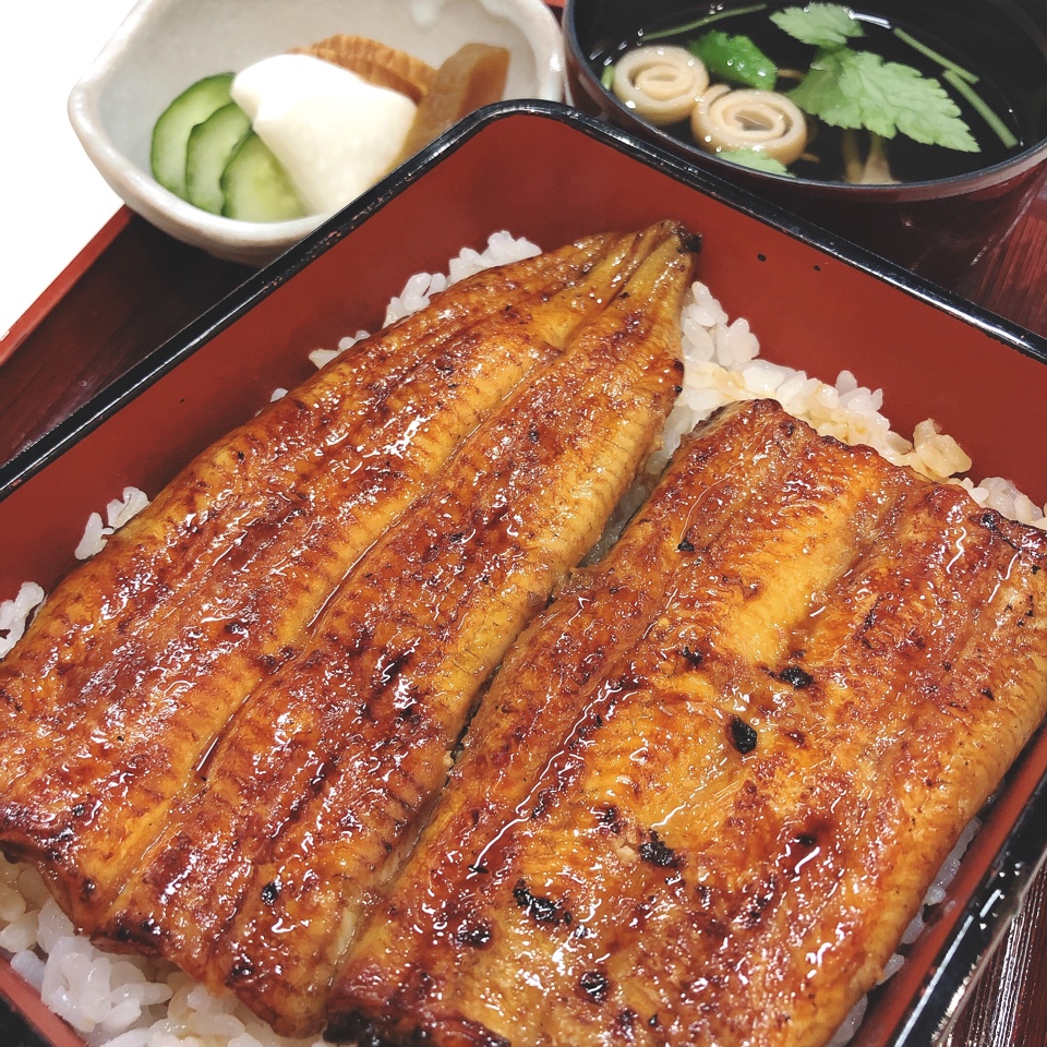 うなぎ 菊もと