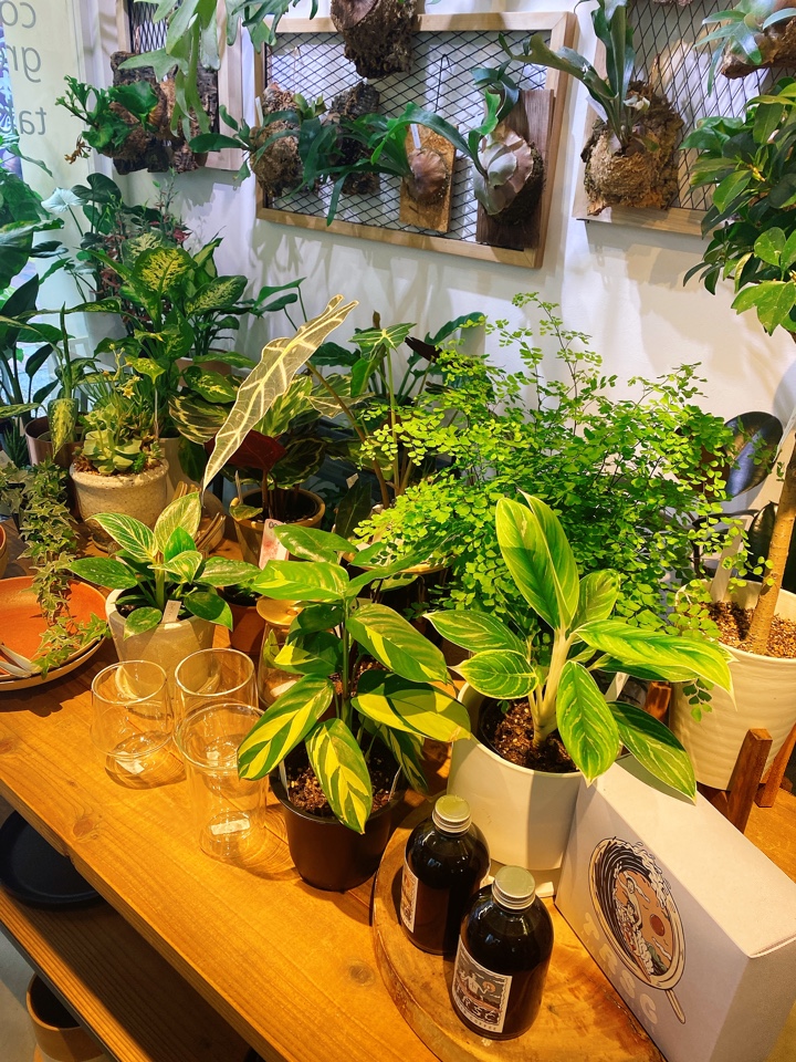 川口駅東口を降りてふじのいち商店街か Coffeegreen Tableware Lily ツクツク グルメ 投稿型グルメデーターベース