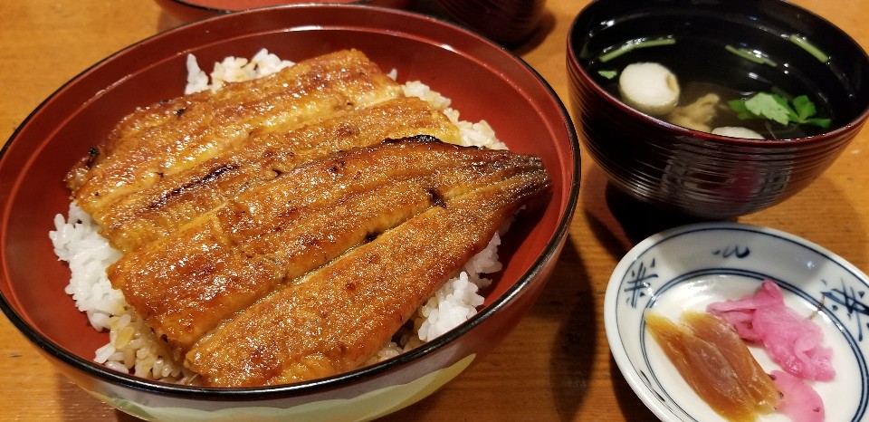 老舗 炭火焼き鰻のお店。 大阪メトロ  魚伊本店  ツクツク 