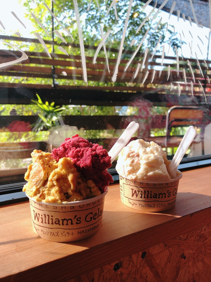 ウィリアムズジェラート