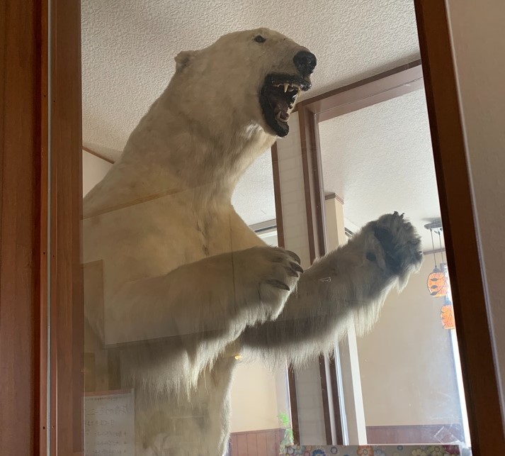 タロット占いを体験できるカフェです カフェ しろくま ツクツク グルメ 投稿型グルメデーターベース