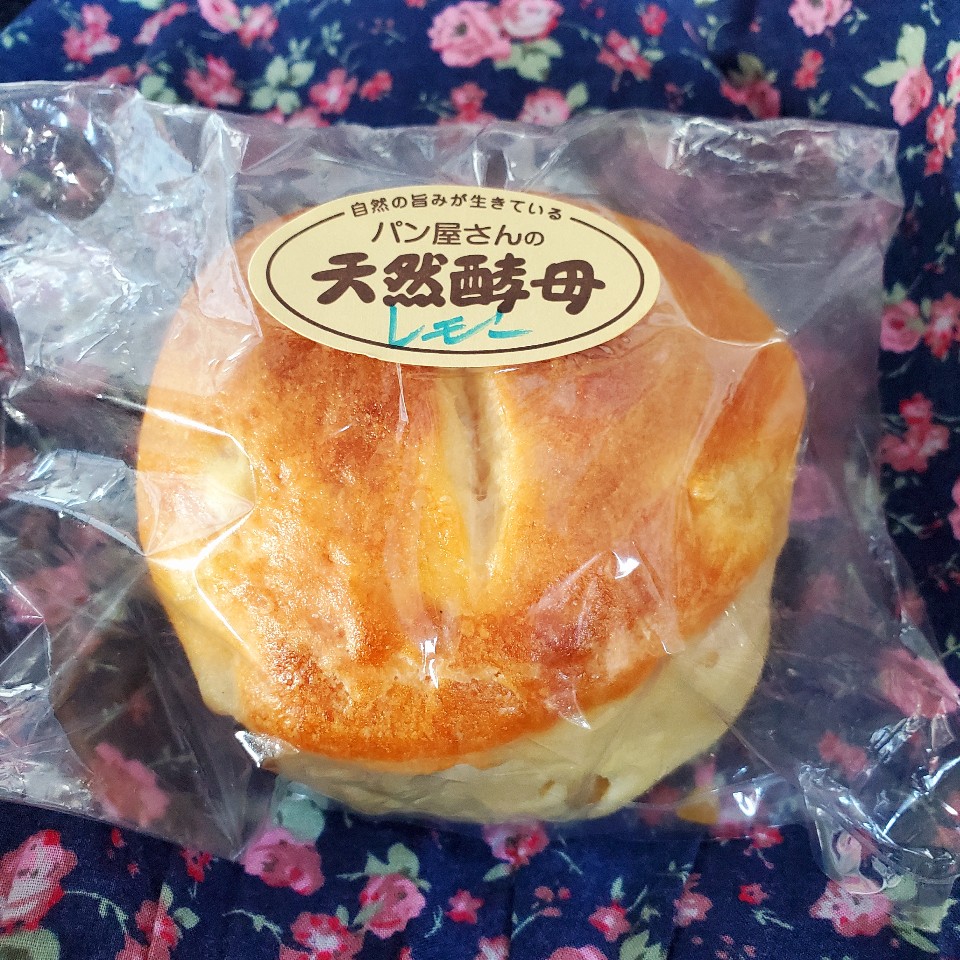 パヌトン