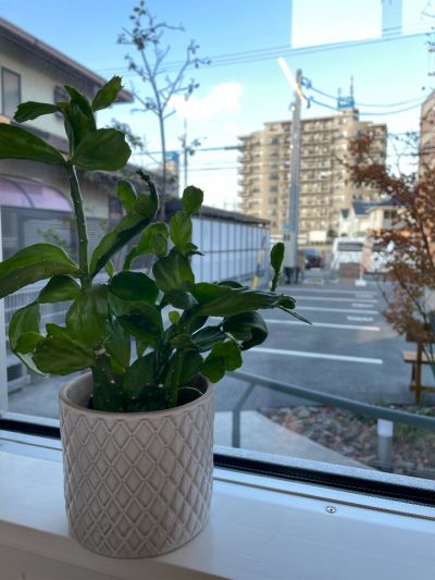 クチコミ