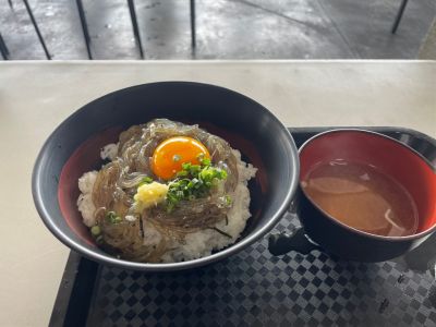 クチコミ