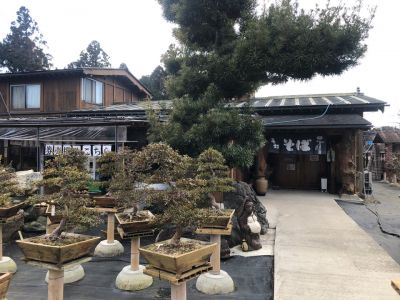 クチコミ