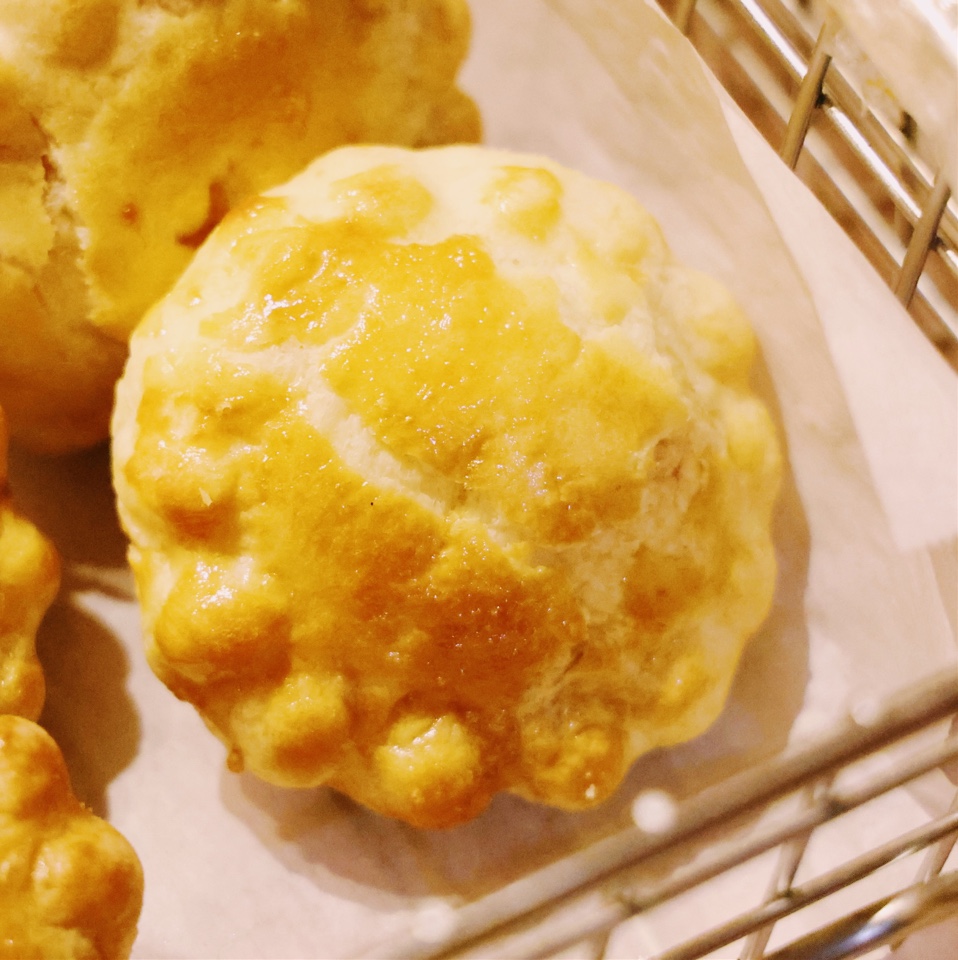 かぼちゃん本舗